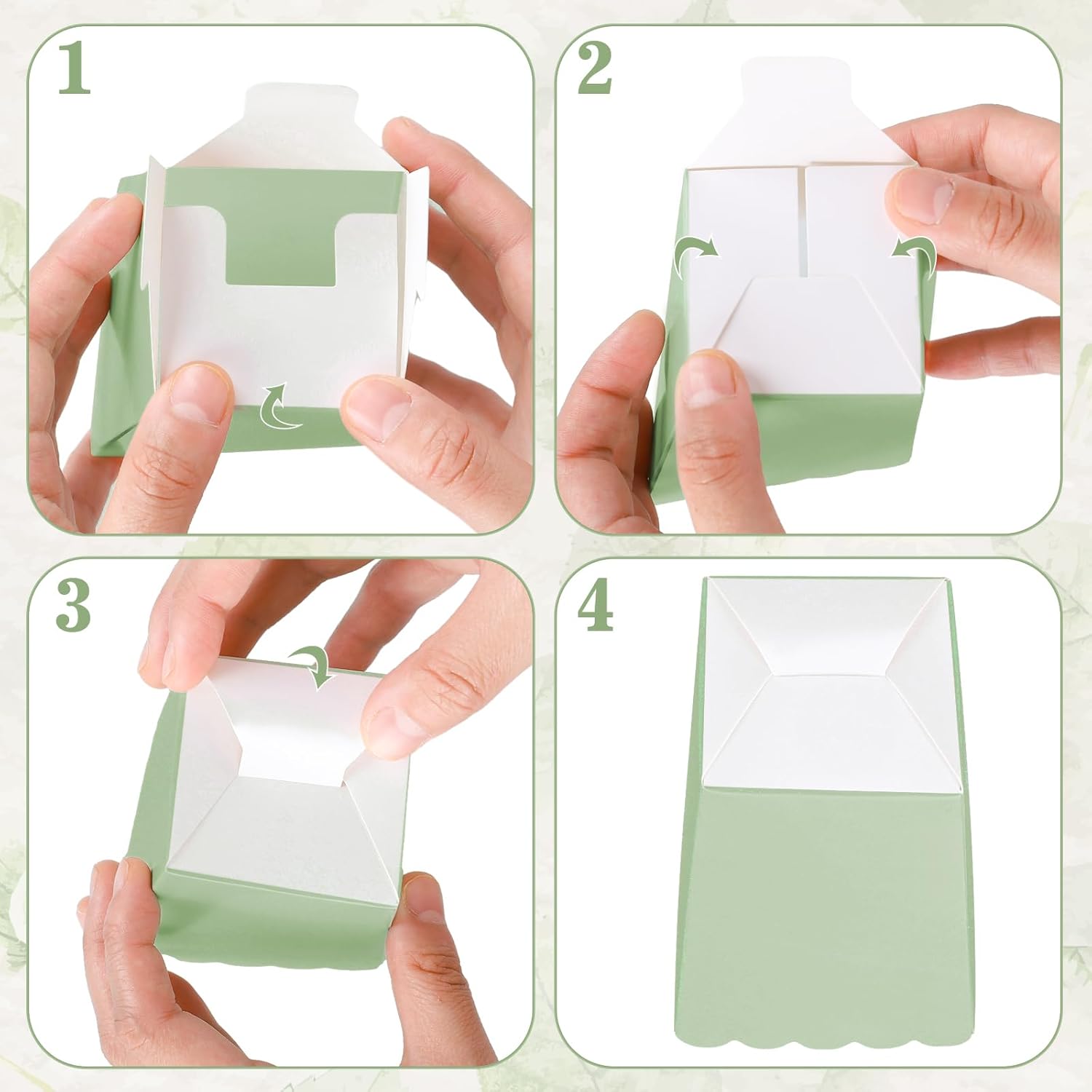 12 sztuk szałwia zielone mini  – Kraft Paper Box recenzja i cena